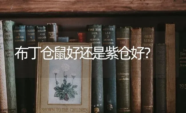 巴哥犬老喜欢摇头？ | 动物养殖问答