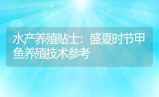 水产养殖贴士：盛夏时节甲鱼养殖技术参考 | 动物养殖饲料