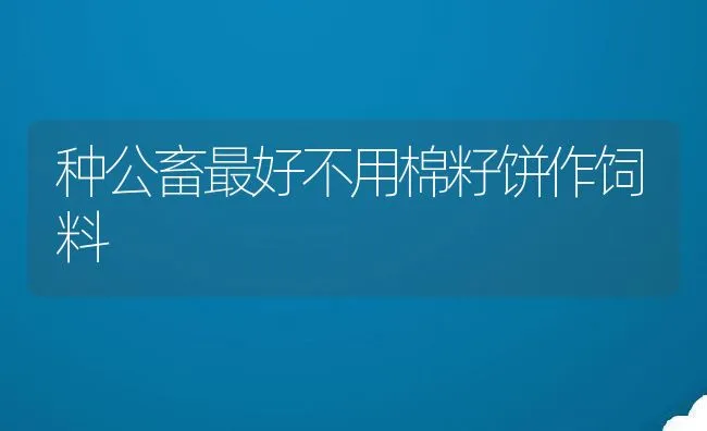 网友分享：养猪七年的一些经验 | 动物养殖饲料