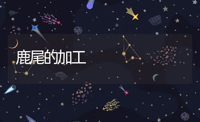 鹿尾的加工 | 动物养殖学堂