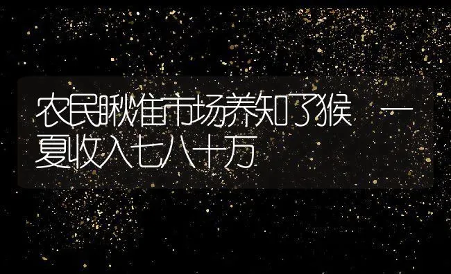 农民瞅准市场养知了猴 一夏收入七八十万 | 动物养殖教程