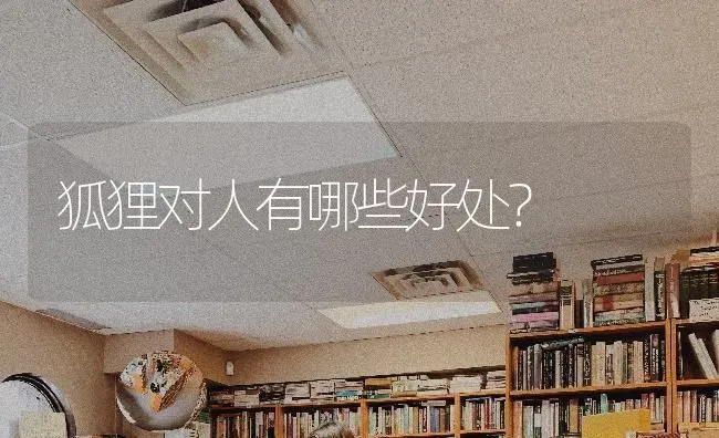 狐狸对人有哪些好处？ | 动物养殖问答