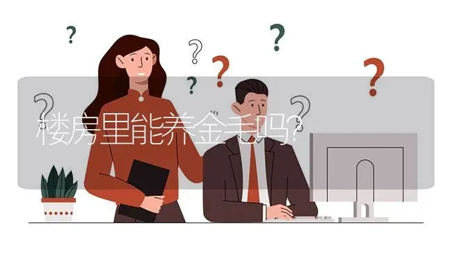 楼房里能养金毛吗？ | 动物养殖问答