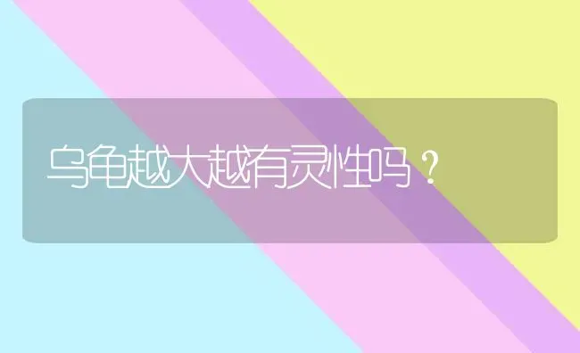 两个月的蓝白猫掉毛严重怎么办？ | 动物养殖问答