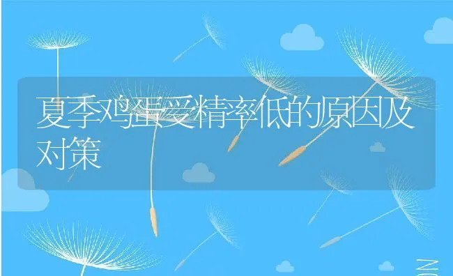 夏季鸡蛋受精率低的原因及对策 | 动物养殖学堂