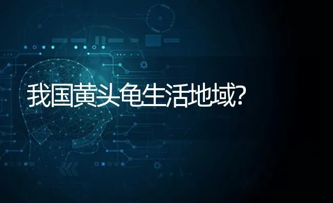 我国黄头龟生活地域？ | 动物养殖问答