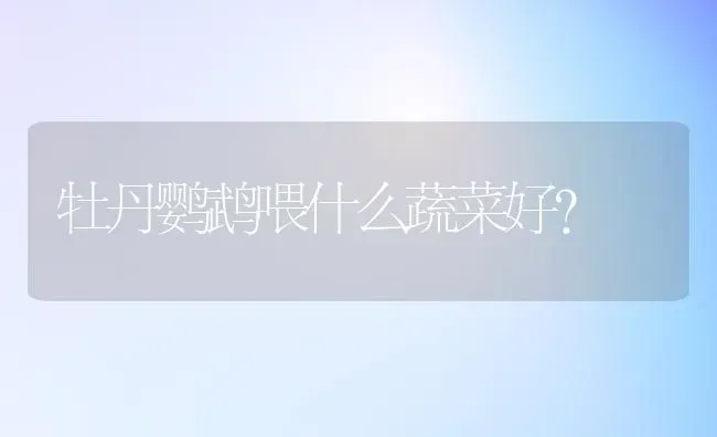 牡丹鹦鹉喂什么蔬菜好？ | 动物养殖问答