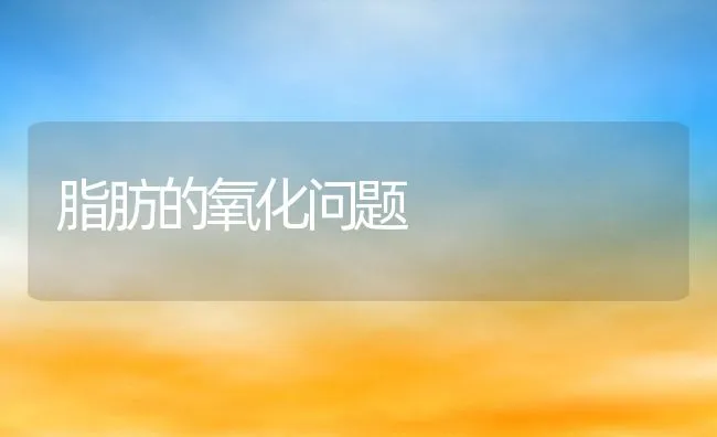 獭兔养殖中如何控制成本投入？ | 动物养殖饲料