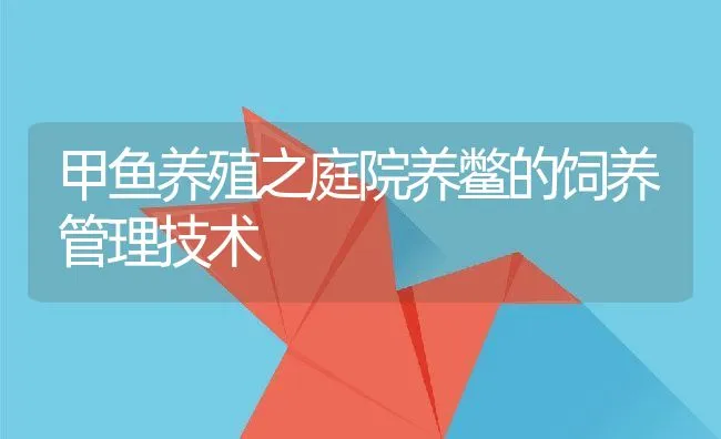 甲鱼养殖之庭院养鳖的饲养管理技术 | 动物养殖饲料