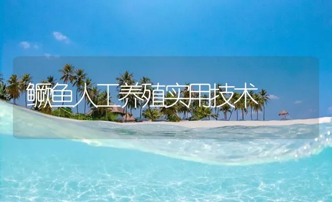 鳜鱼人工养殖实用技术 | 海水养殖技术