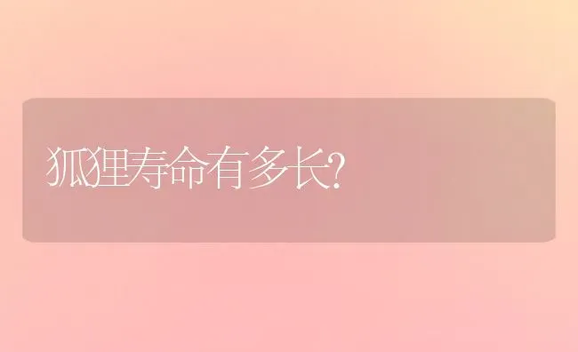 狐狸寿命有多长？ | 动物养殖问答