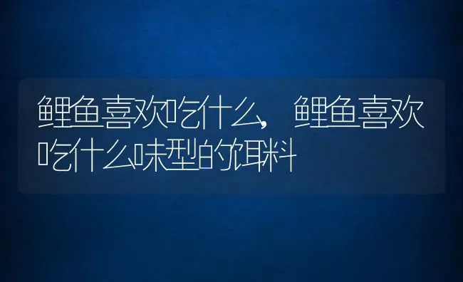 鲤鱼喜欢吃什么,鲤鱼喜欢吃什么味型的饵料 | 宠物百科知识