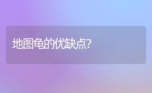 地图龟的优缺点？ | 动物养殖问答