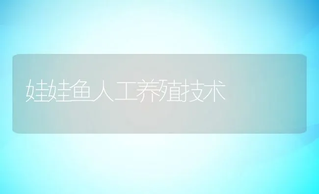 娃娃鱼人工养殖技术 | 动物养殖饲料