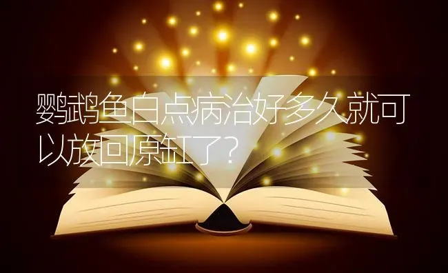 鹦鹉鱼白点病治好多久就可以放回原缸了？ | 鱼类宠物饲养