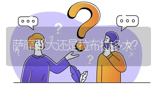 萨摩耶大还是拉布拉多大？ | 动物养殖问答