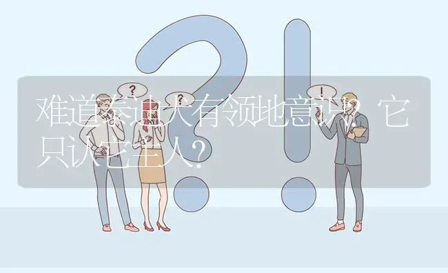 难道泰迪犬有领地意识？它只认它主人？ | 动物养殖问答