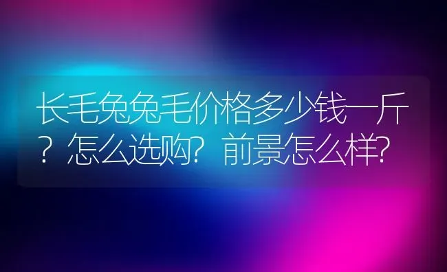 长毛兔兔毛价格多少钱一斤？怎么选购?前景怎么样? | 动物养殖百科