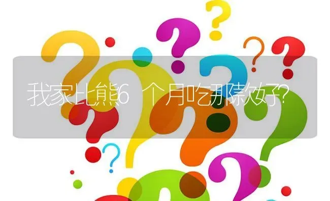 我家比熊6个月吃那款好？ | 动物养殖问答