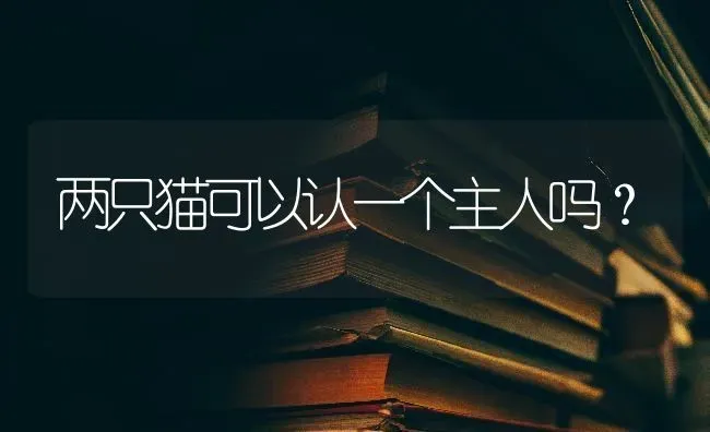 两只猫可以认一个主人吗？ | 动物养殖问答