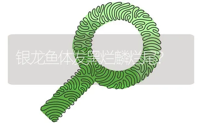银龙鱼体发黑烂麟烂尾？ | 鱼类宠物饲养