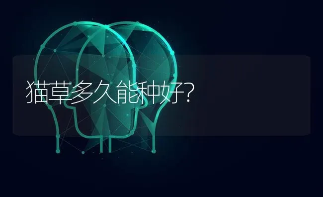 猫草多久能种好？ | 动物养殖问答