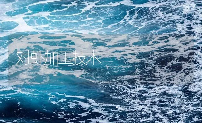 俄罗斯鲟龙鱼养殖技术 | 海水养殖技术