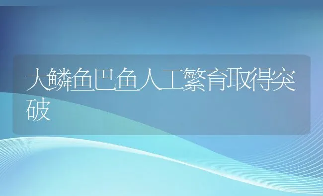 大鳞鱼巴鱼人工繁育取得突破 | 动物养殖饲料