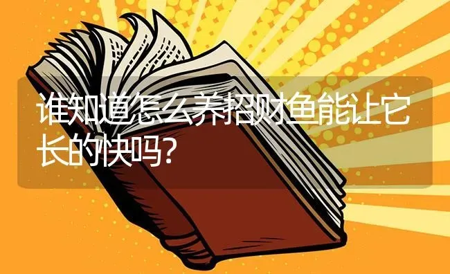 谁知道怎么养招财鱼能让它长的快吗？ | 鱼类宠物饲养