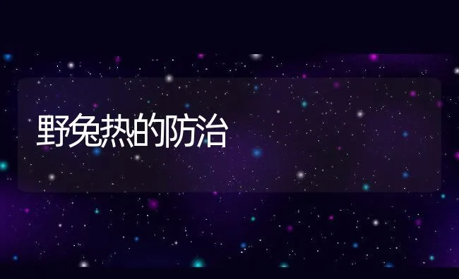 河豚鱼室外池塘养殖技术 | 海水养殖技术