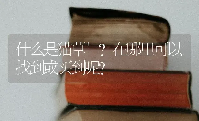 什么是猫草`?在哪里可以找到或买到呢？ | 动物养殖问答