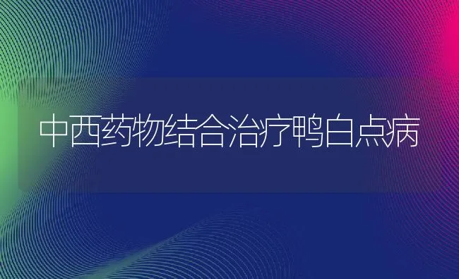 中西药物结合治疗鸭白点病 | 动物养殖学堂