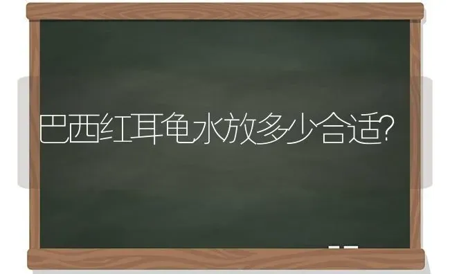 巴西红耳龟水放多少合适？ | 动物养殖问答