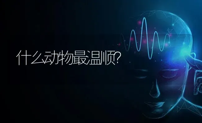 什么动物最温顺？ | 动物养殖问答