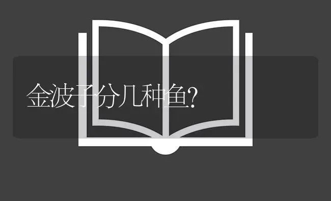 金波子分几种鱼？ | 鱼类宠物饲养