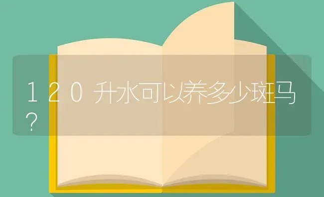 120升水可以养多少斑马？ | 鱼类宠物饲养