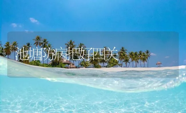 池塘防病把好四关 | 海水养殖技术