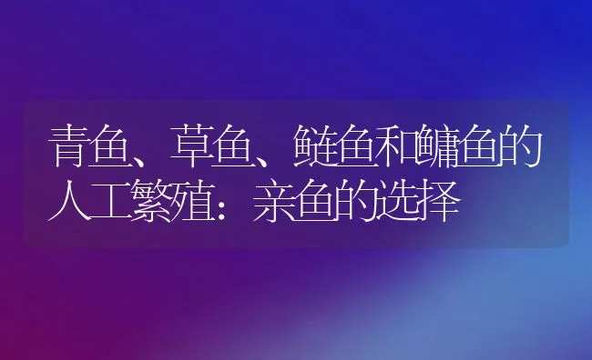 青鱼、草鱼、鲢鱼和鳙鱼的人工繁殖：亲鱼的选择 | 动物养殖饲料