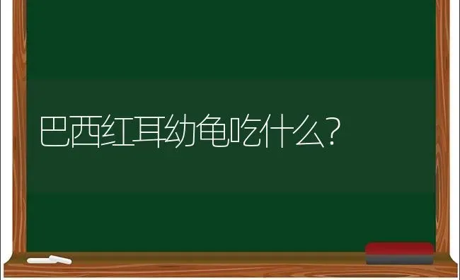 巴西红耳幼龟吃什么？ | 动物养殖问答