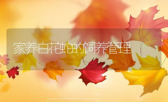 家养白花蛇的饲养管理 | 动物养殖学堂