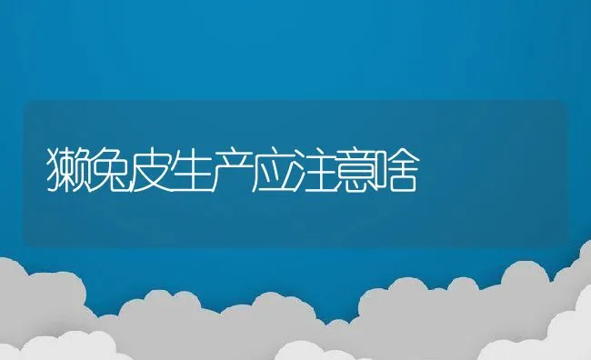 獭兔皮生产应注意啥 | 动物养殖饲料