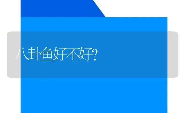 八卦鱼好不好？ | 鱼类宠物饲养