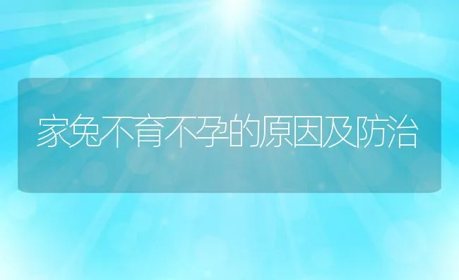 家兔不育不孕的原因及防治 | 水产养殖知识