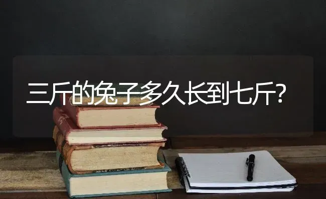 三斤的兔子多久长到七斤？ | 动物养殖问答