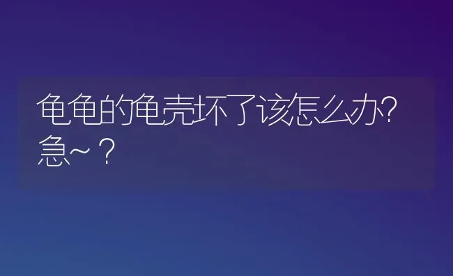 龟龟的龟壳坏了该怎么办？急~？ | 动物养殖问答