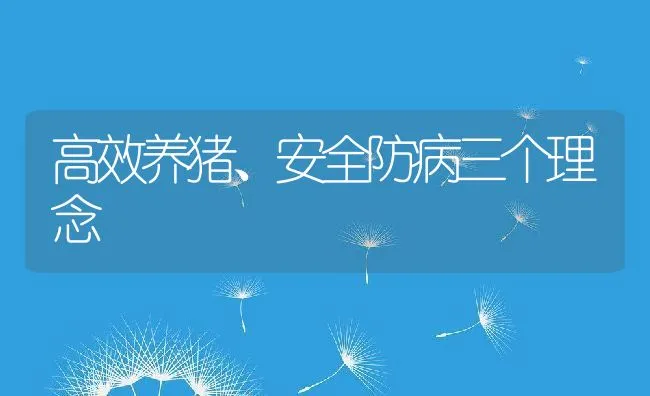 高效养猪、安全防病三个理念 | 动物养殖学堂