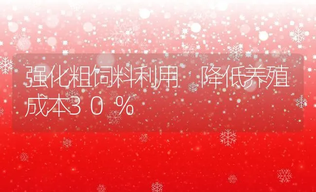 强化粗饲料利用 降低养殖成本30％ | 动物养殖学堂