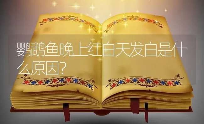 鹦鹉鱼晚上红白天发白是什么原因？ | 鱼类宠物饲养