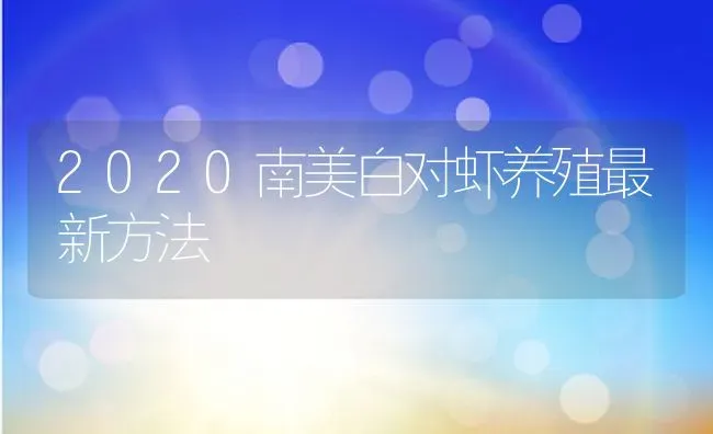 2020南美白对虾养殖最新方法 | 动物养殖百科