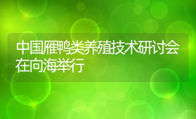 中国雁鸭类养殖技术研讨会在向海举行 | 动物养殖饲料